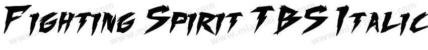 Fighting Spirit TBS Italic字体转换